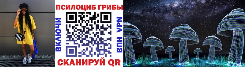 Галлюциногенные грибы мицелий  кракен ССЫЛКА  Могоча 